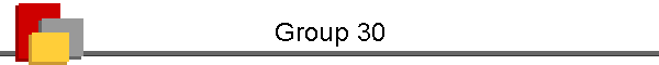 Group 30